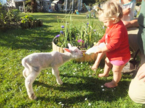 Отель Little Paradise & Petting Farm  Греймут 